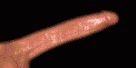 DrBizzaro TGP