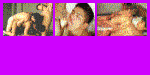 TwinkPic.com