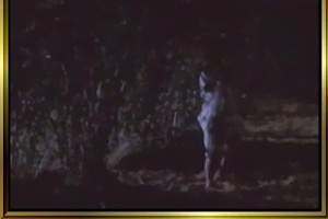 Natassja Kinski nude