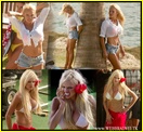 pamela-anderson_14010.jpg - 146 KB