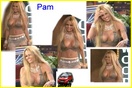 pamela-anderson_14016.jpg - 86 KB