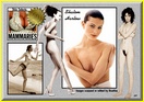 shalom-harlow_14015.jpg - 130 KB