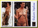 shalom-harlow_14020.jpg - 124 KB