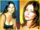 shannen-doherty_14012.jpg - 148 KB