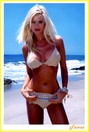 victoria-silvstedt_14014.jpg - 86 KB