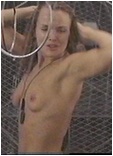 Dina Meyer nude.